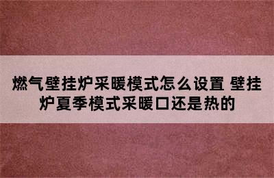 燃气壁挂炉采暖模式怎么设置 壁挂炉夏季模式采暖口还是热的